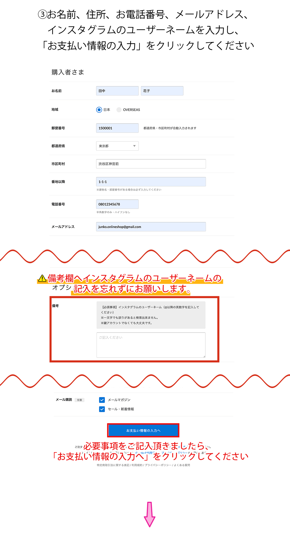 ③お名前、住所、お電話番号、メールアドレス、インスタグラムのユーザーネームを入力し、「お支払い情報の入力へ」をクリックしてください。